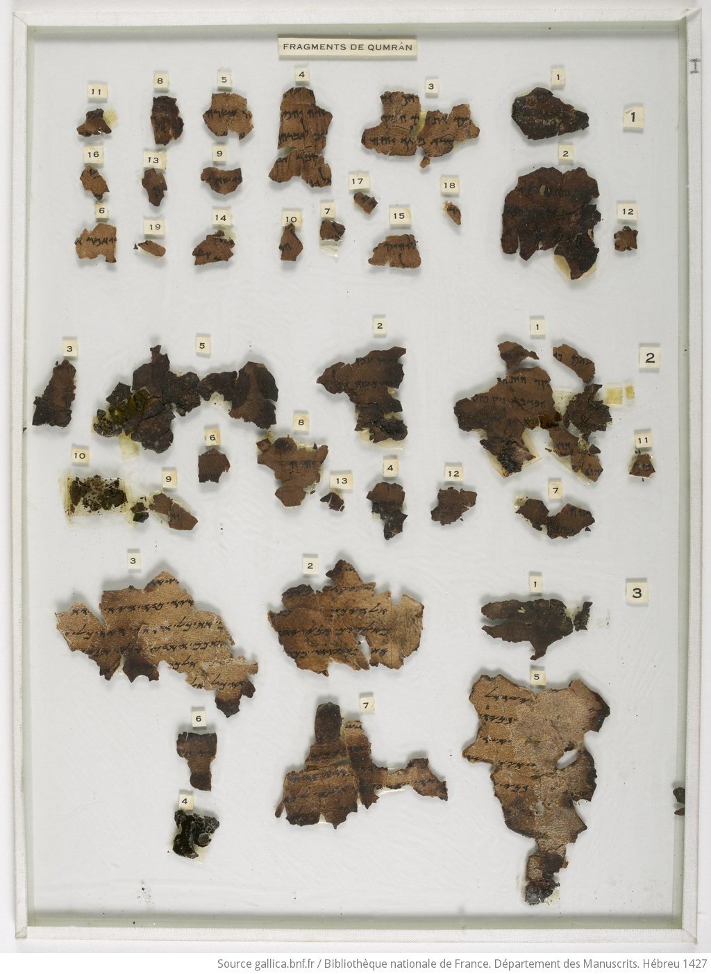 Fragment du Coran